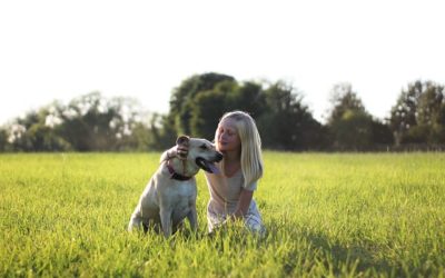 How Can Animal-Assisted Therapy Help My Child?